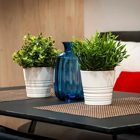 卡萨戴齐克公寓 * 罗维尼